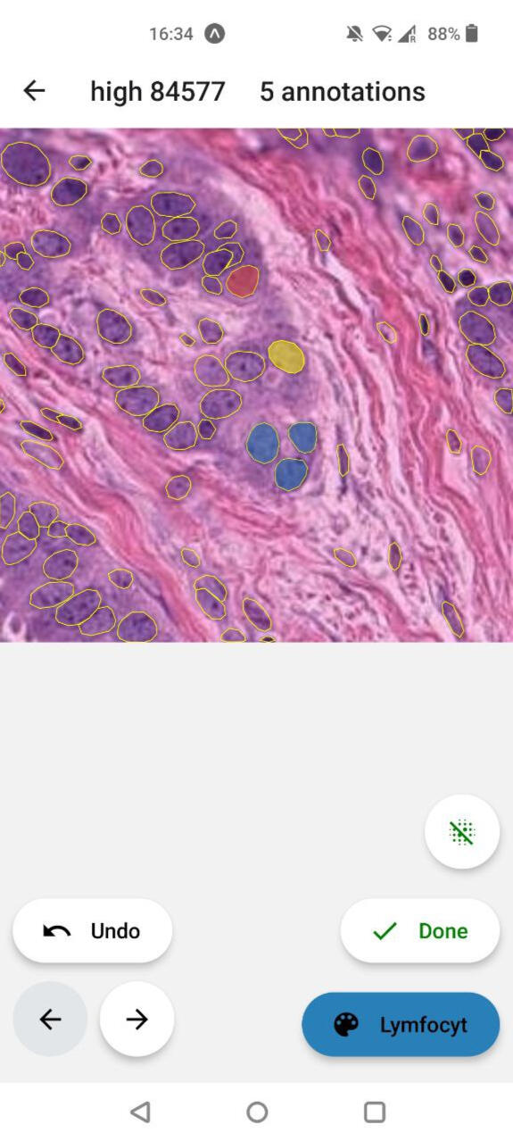 Using the app to annotate cells